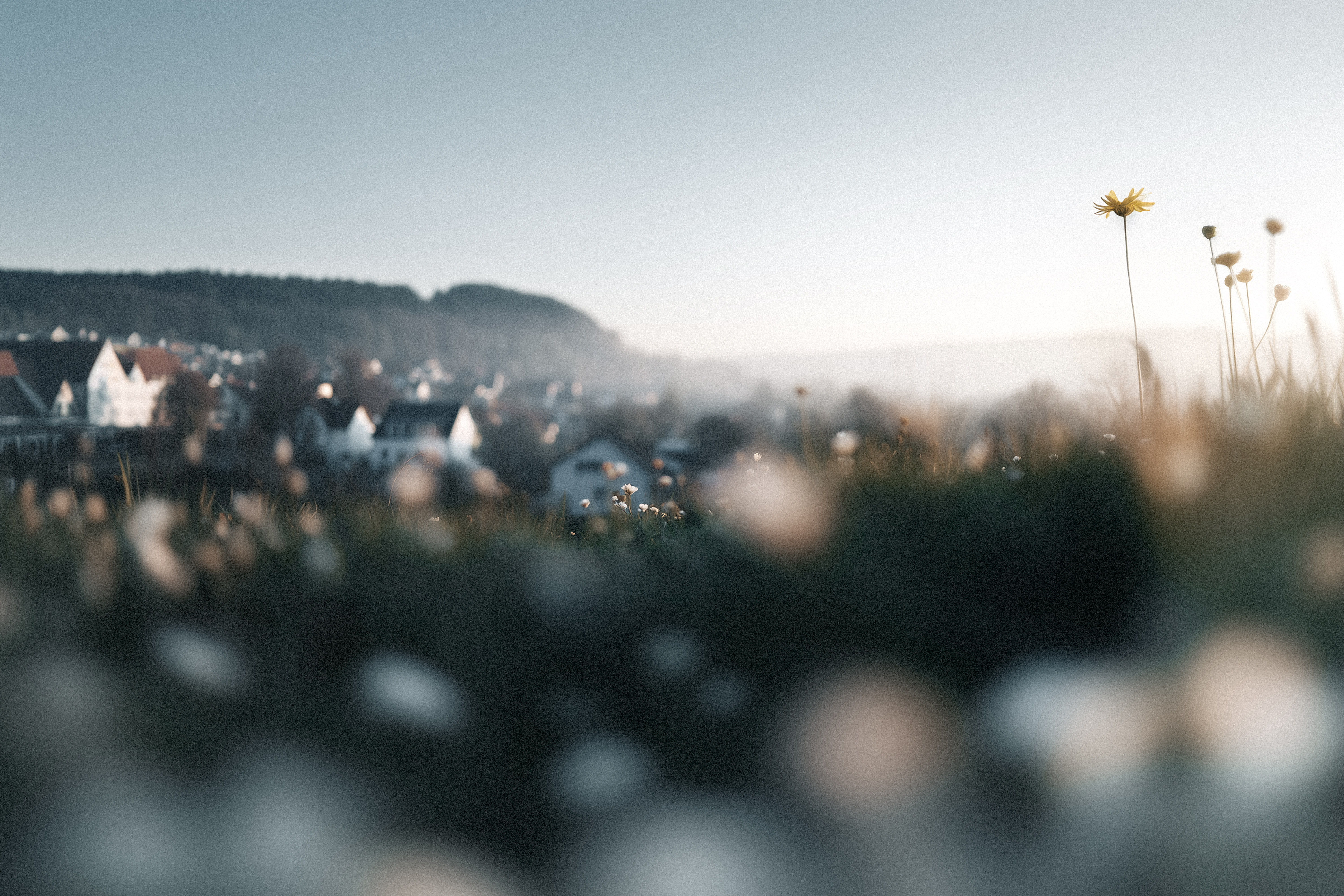 20260105 FWG Dorfentwicklung 02